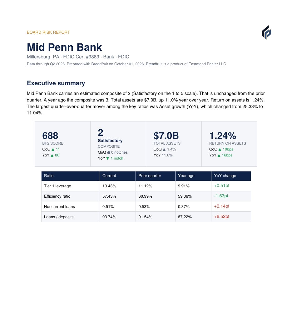 The first page of a Breadfruit board risk report: executive summary, BFS score, composite, total assets, return on assets, and a ratio table