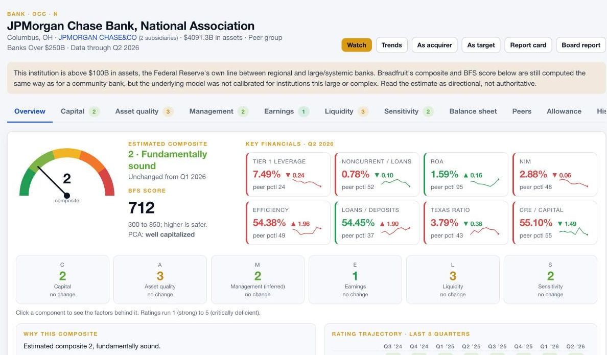 An institution profile with the composite gauge, BFS score, key ratios against peers, and the six component ratings