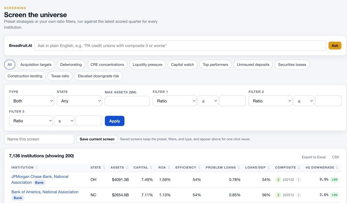 The Screener with preset strategies, custom ratio filters, and a ranked results table